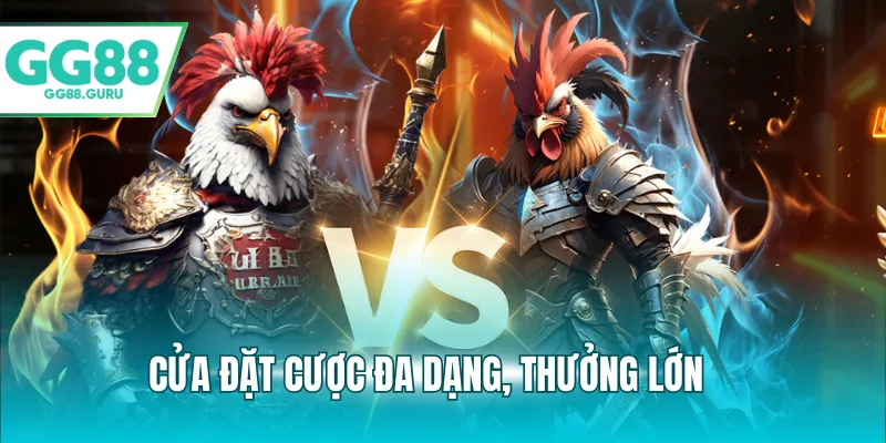 Đá Gà Cựa Sắt Kịch Tính Và Sức Hút Khó Cưỡng Đối Với Người Chơi 3 Cửa đặt cược đa dạng, thưởng lớn
