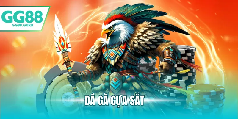 Đá Gà Cựa Sắt Kịch Tính Và Sức Hút Khó Cưỡng Đối Với Người Chơi 1 đá gà cựa sắt