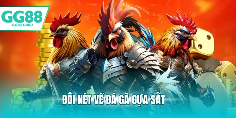 Đá Gà Cựa Sắt Kịch Tính Và Sức Hút Khó Cưỡng Đối Với Người Chơi 2 Đôi nét về đá gà cựa sắt